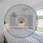 Casa vacanze Gorgeous In With Wifi